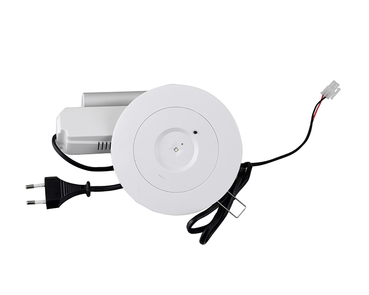D40-R-2 LED 다운 라이트 비상 비전